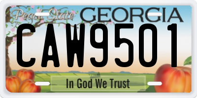 GA license plate CAW9501
