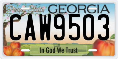 GA license plate CAW9503