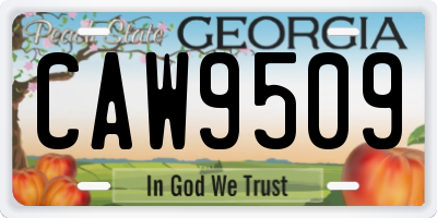 GA license plate CAW9509