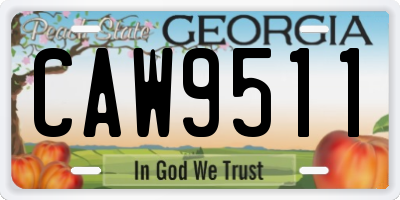 GA license plate CAW9511