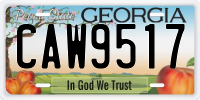 GA license plate CAW9517