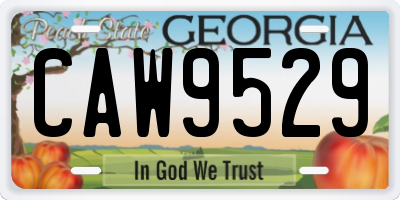 GA license plate CAW9529