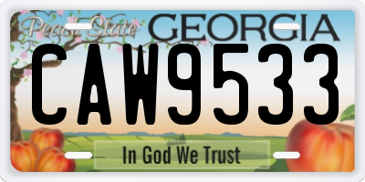 GA license plate CAW9533