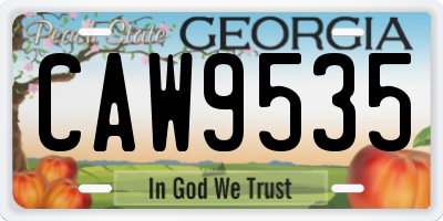 GA license plate CAW9535