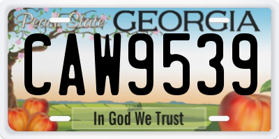 GA license plate CAW9539