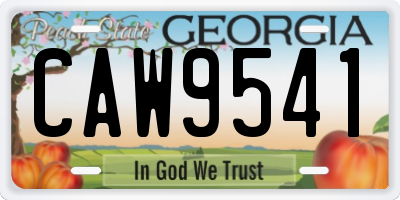 GA license plate CAW9541
