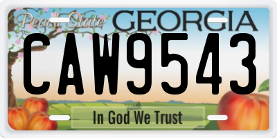 GA license plate CAW9543
