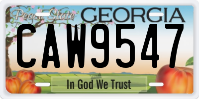 GA license plate CAW9547
