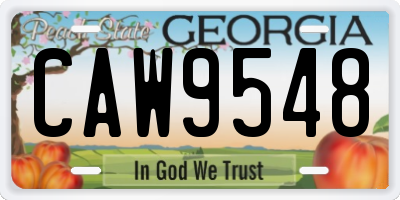 GA license plate CAW9548