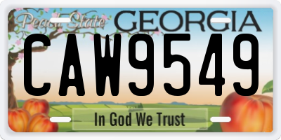 GA license plate CAW9549