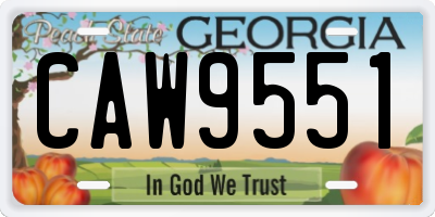 GA license plate CAW9551