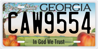 GA license plate CAW9554