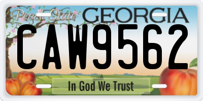GA license plate CAW9562
