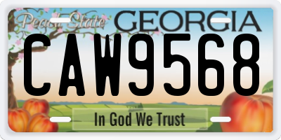 GA license plate CAW9568