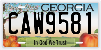 GA license plate CAW9581
