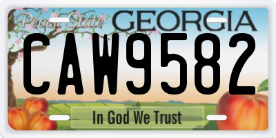 GA license plate CAW9582