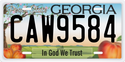 GA license plate CAW9584