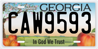GA license plate CAW9593
