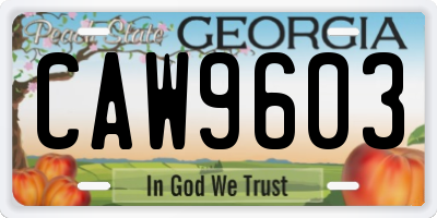 GA license plate CAW9603