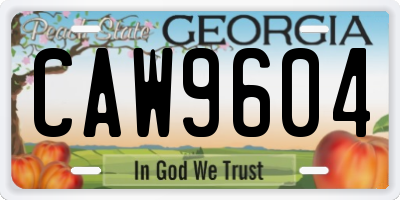 GA license plate CAW9604