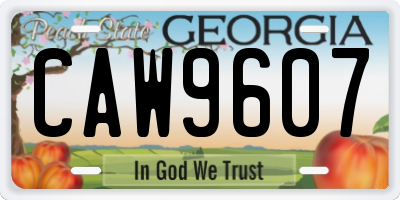 GA license plate CAW9607