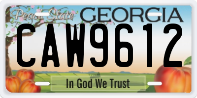 GA license plate CAW9612