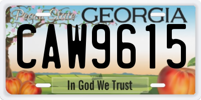 GA license plate CAW9615