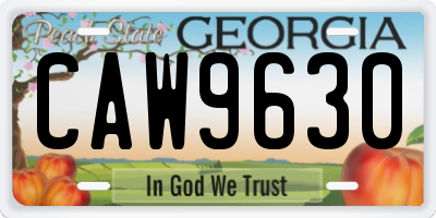 GA license plate CAW9630