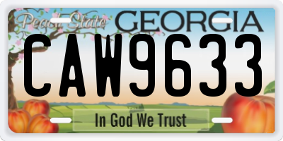 GA license plate CAW9633