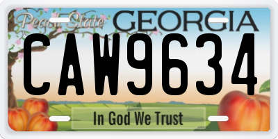 GA license plate CAW9634