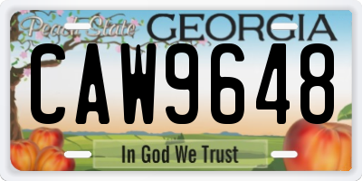 GA license plate CAW9648