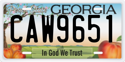 GA license plate CAW9651
