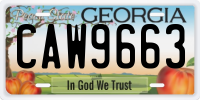 GA license plate CAW9663