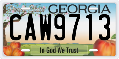 GA license plate CAW9713
