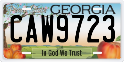 GA license plate CAW9723