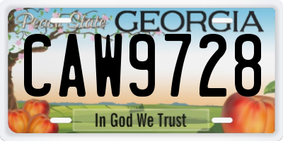 GA license plate CAW9728