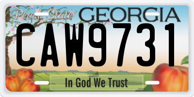 GA license plate CAW9731