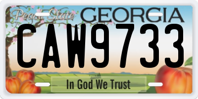 GA license plate CAW9733