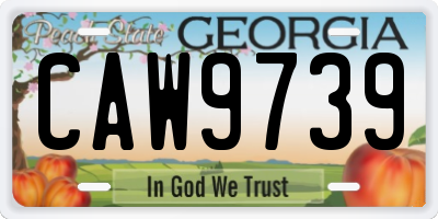 GA license plate CAW9739