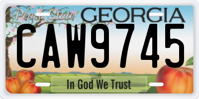 GA license plate CAW9745