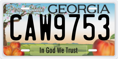 GA license plate CAW9753