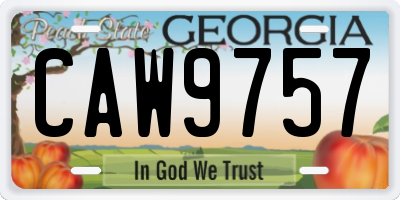 GA license plate CAW9757