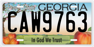GA license plate CAW9763