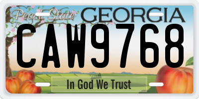 GA license plate CAW9768