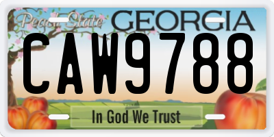 GA license plate CAW9788