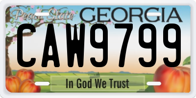 GA license plate CAW9799