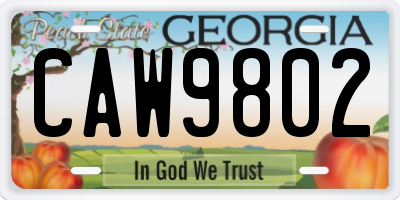 GA license plate CAW9802
