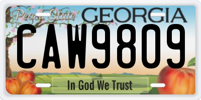 GA license plate CAW9809
