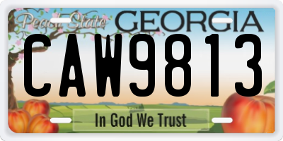 GA license plate CAW9813