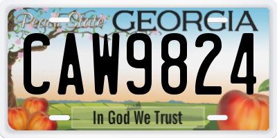 GA license plate CAW9824